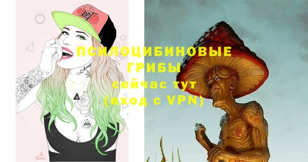 ГАЛЛЮЦИНОГЕННЫЕ ГРИБЫ Баксан